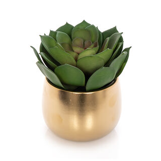 Aritificial lotus plant in a ceramic pot