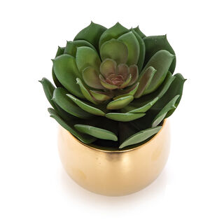 Aritificial lotus plant in a ceramic pot