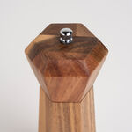 Acacia big size wood Salt/pepper image number 2