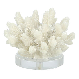 Home Accent Resin Coral With Acrylic Base 14.2*13*11 cm